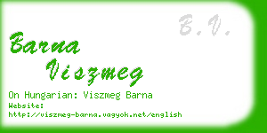 barna viszmeg business card